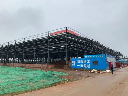 益陽總投資8.229億元大項目預計12月建成投產(chǎn)，房屋建筑工程施工穩(wěn)步推進